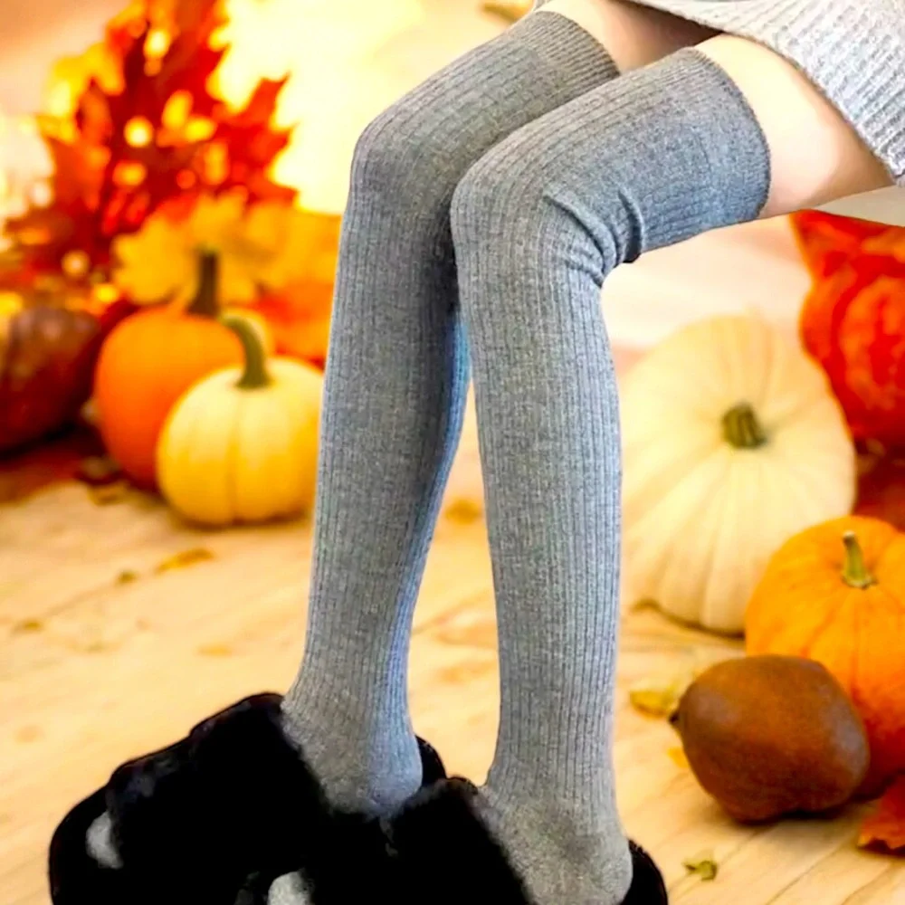 Pair of‎ Gray Thigh-High Soft, Warm, Comfy, Over Knee, Nylon Stockings One Size